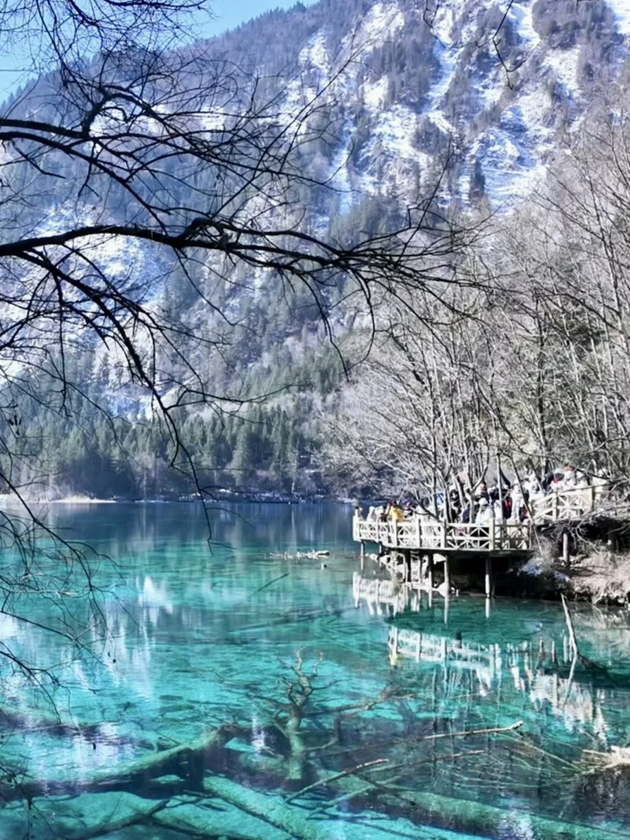 3.11 📍川西已回，live实况直出，劝退不了