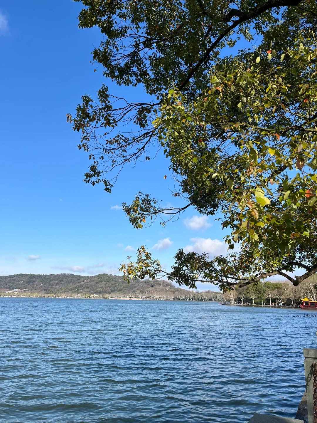 三月·杭州西湖