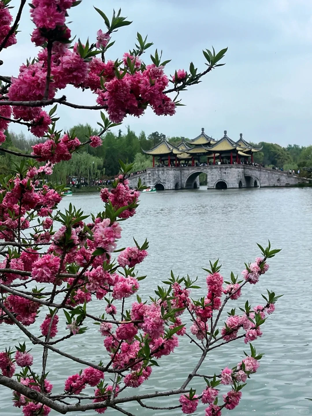📍烟花三月下扬州 有一种生活叫扬州慢