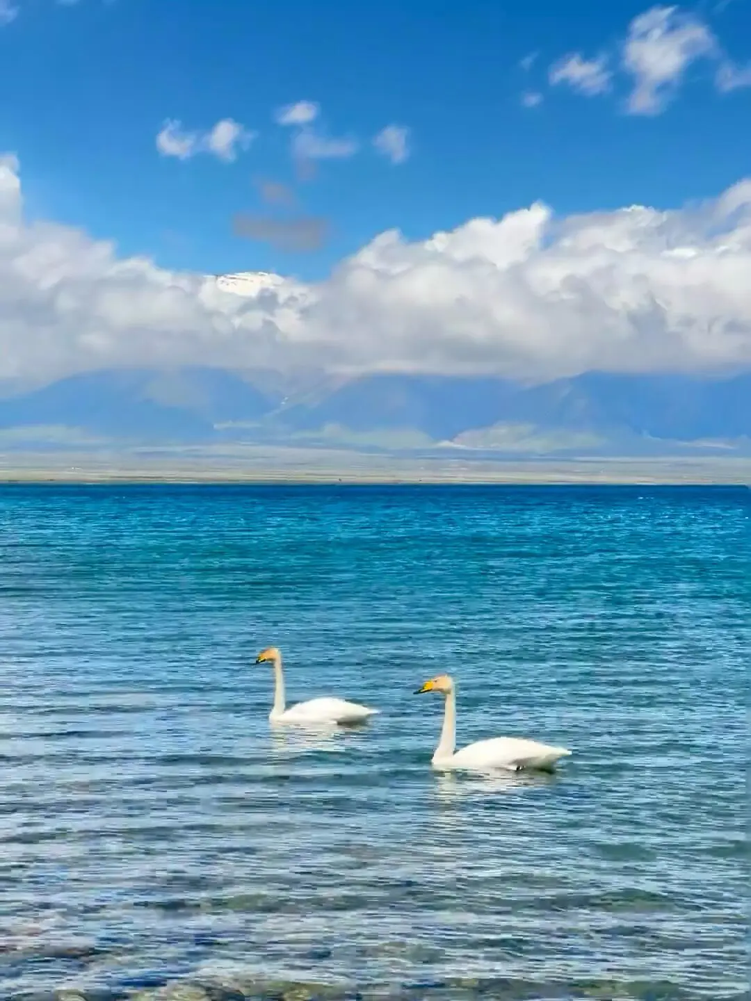 反向旅游|5月就去新疆伊犁,别等6月人挤人