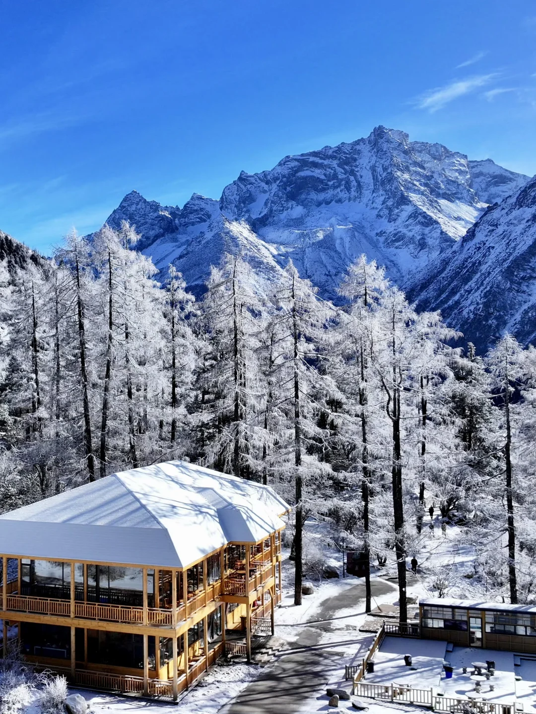 3.11 📍川西已回，live实况直出，劝退不了