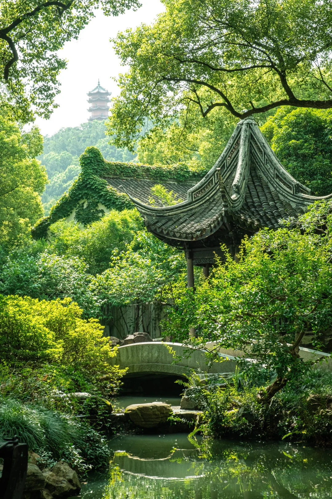 北京出发｜挑战每周出去玩（31/50）📍无锡