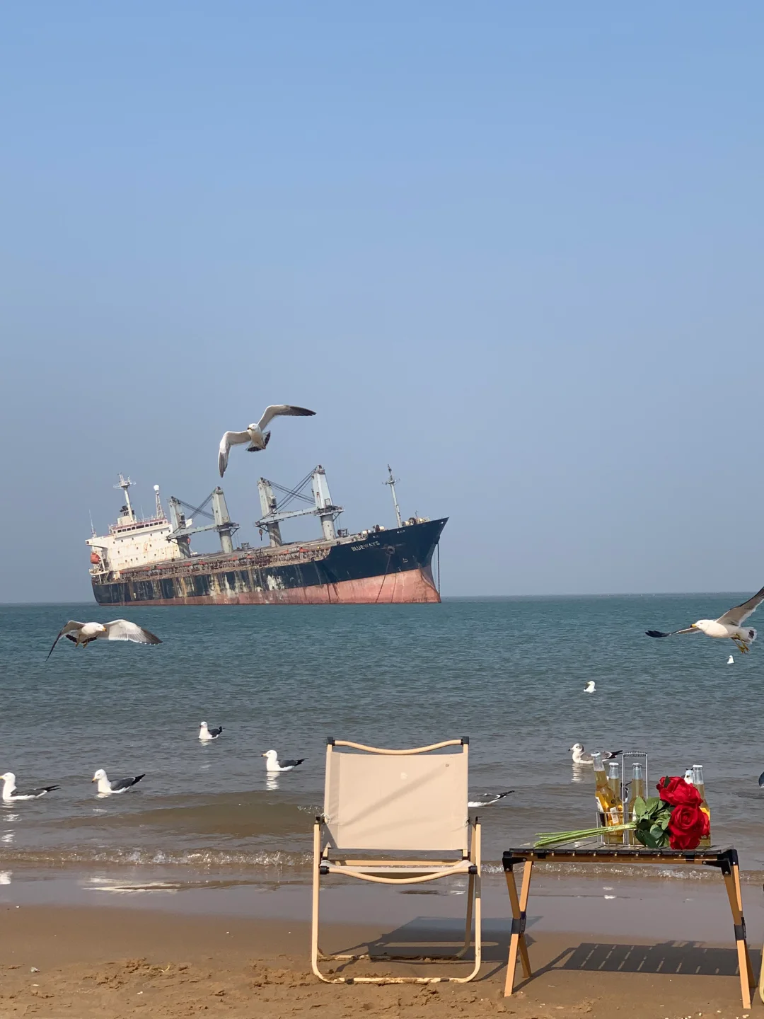 一个人旅行(威海篇)