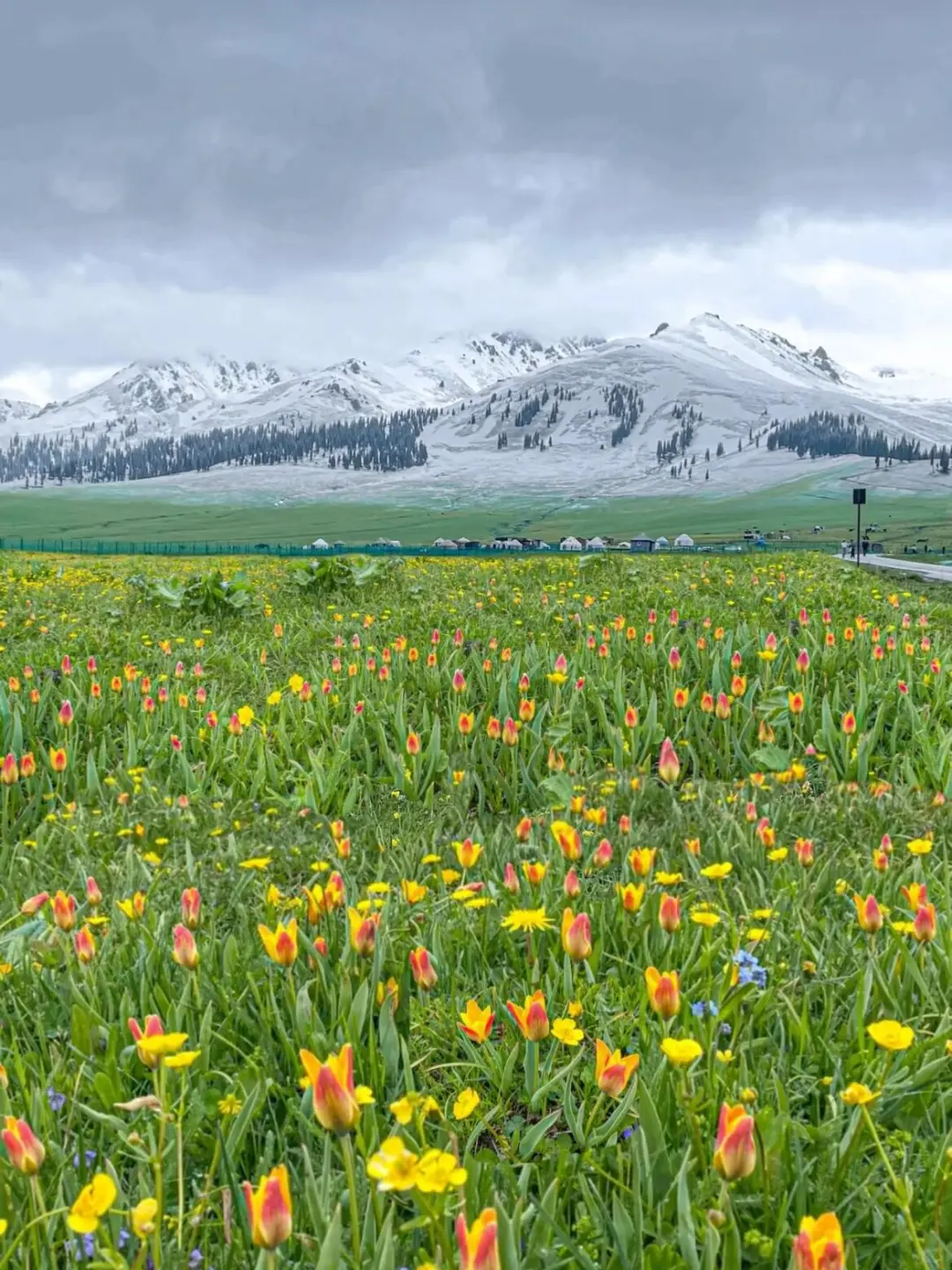 反向旅游|5月就去新疆伊犁,别等6月人挤人