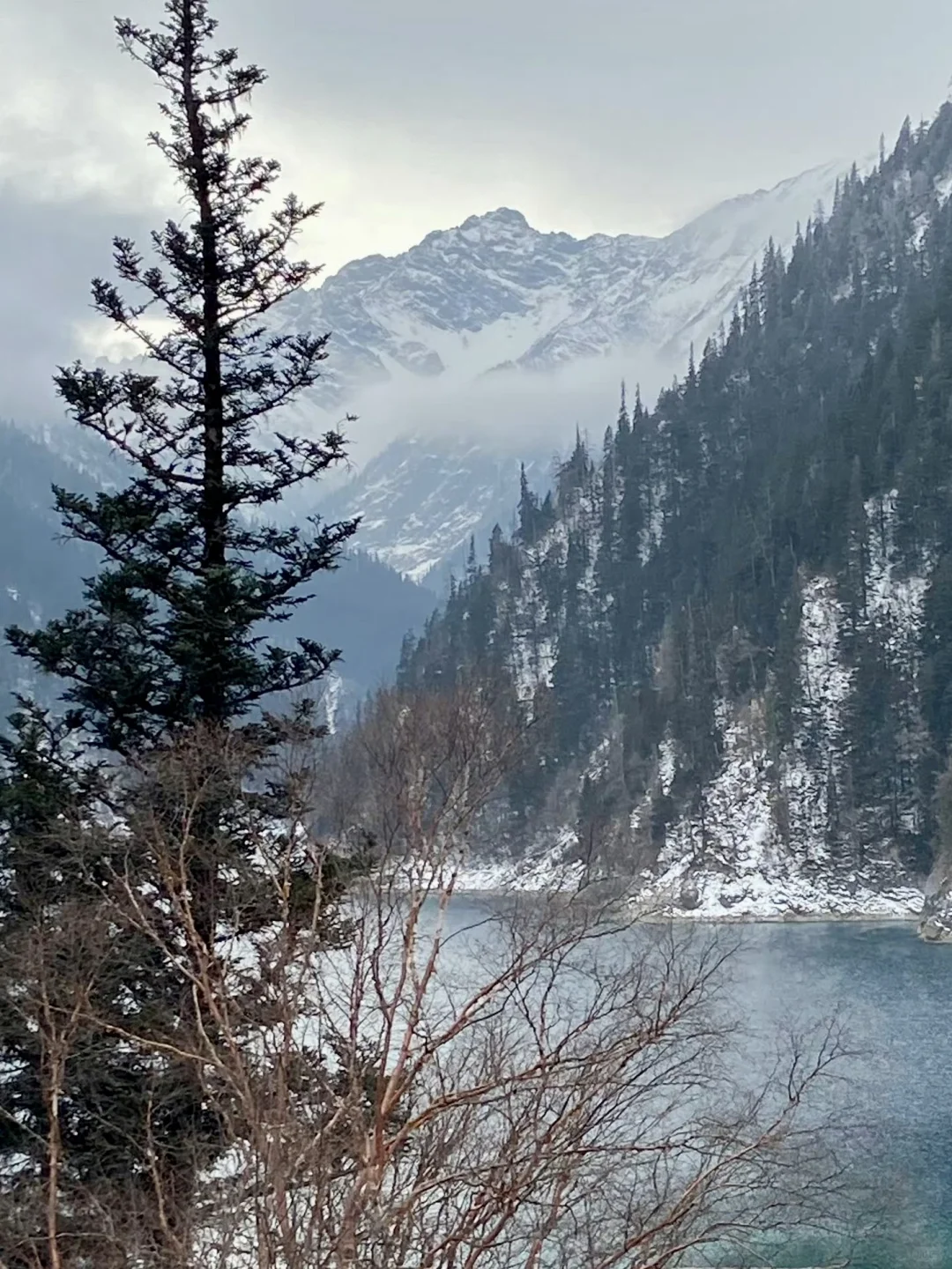 3.11 📍川西已回，live实况直出，劝退不了