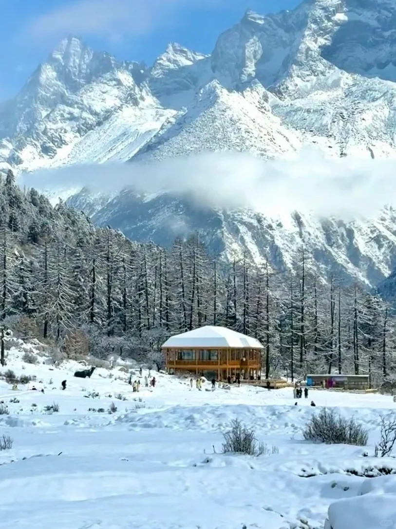 3.11 📍川西已回，live实况直出，劝退不了