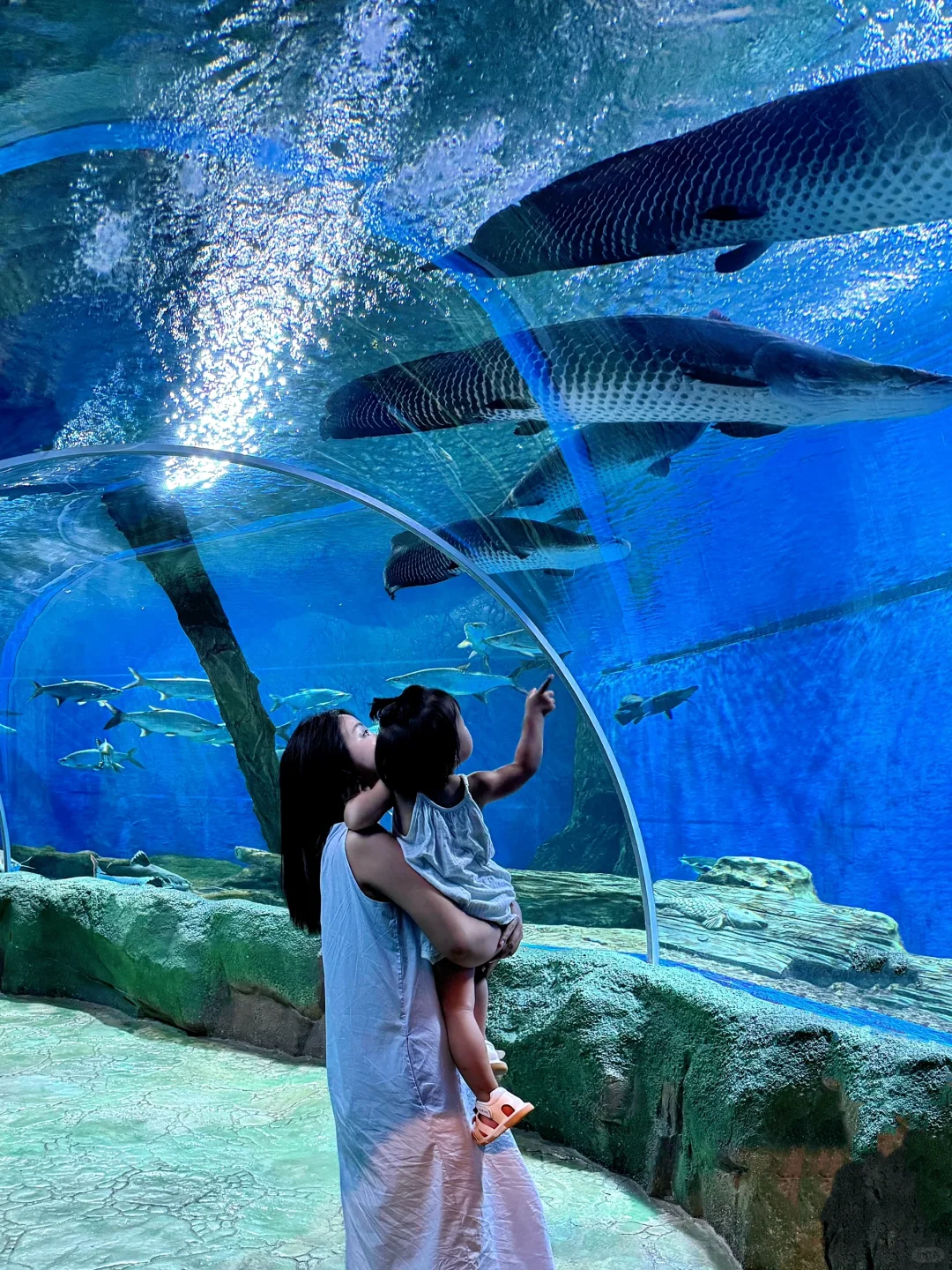 带娃陵水已回😭全是干货，我的建议是。。。