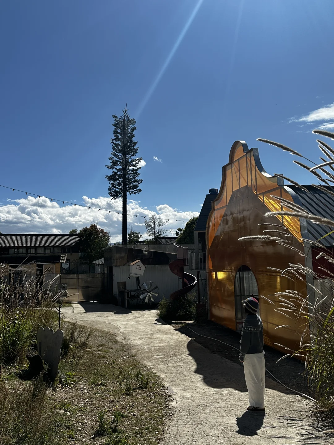 跟风小红书最成功的一次‼️现实版宫崎骏世界