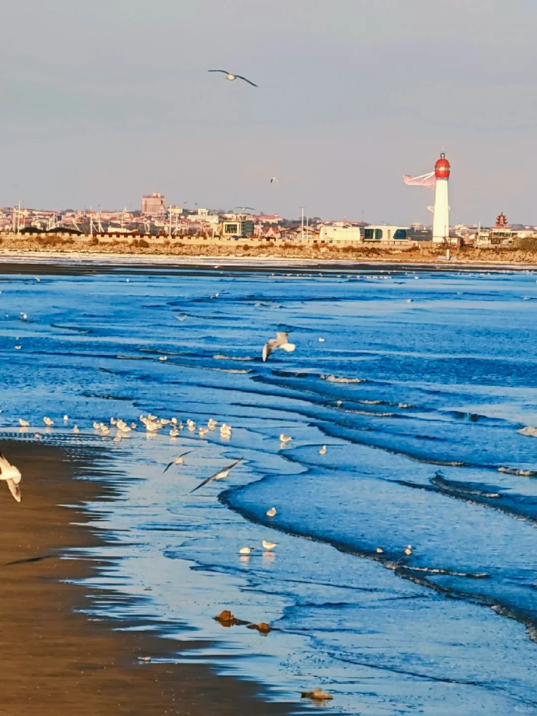 北京🚅2h｜淡季的秦皇岛太上头啦！附攻略