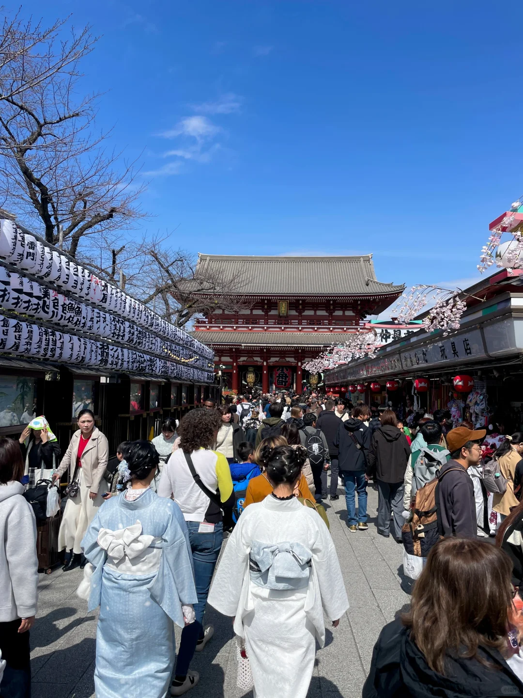浅草寺、秋叶原、皇居、银座～