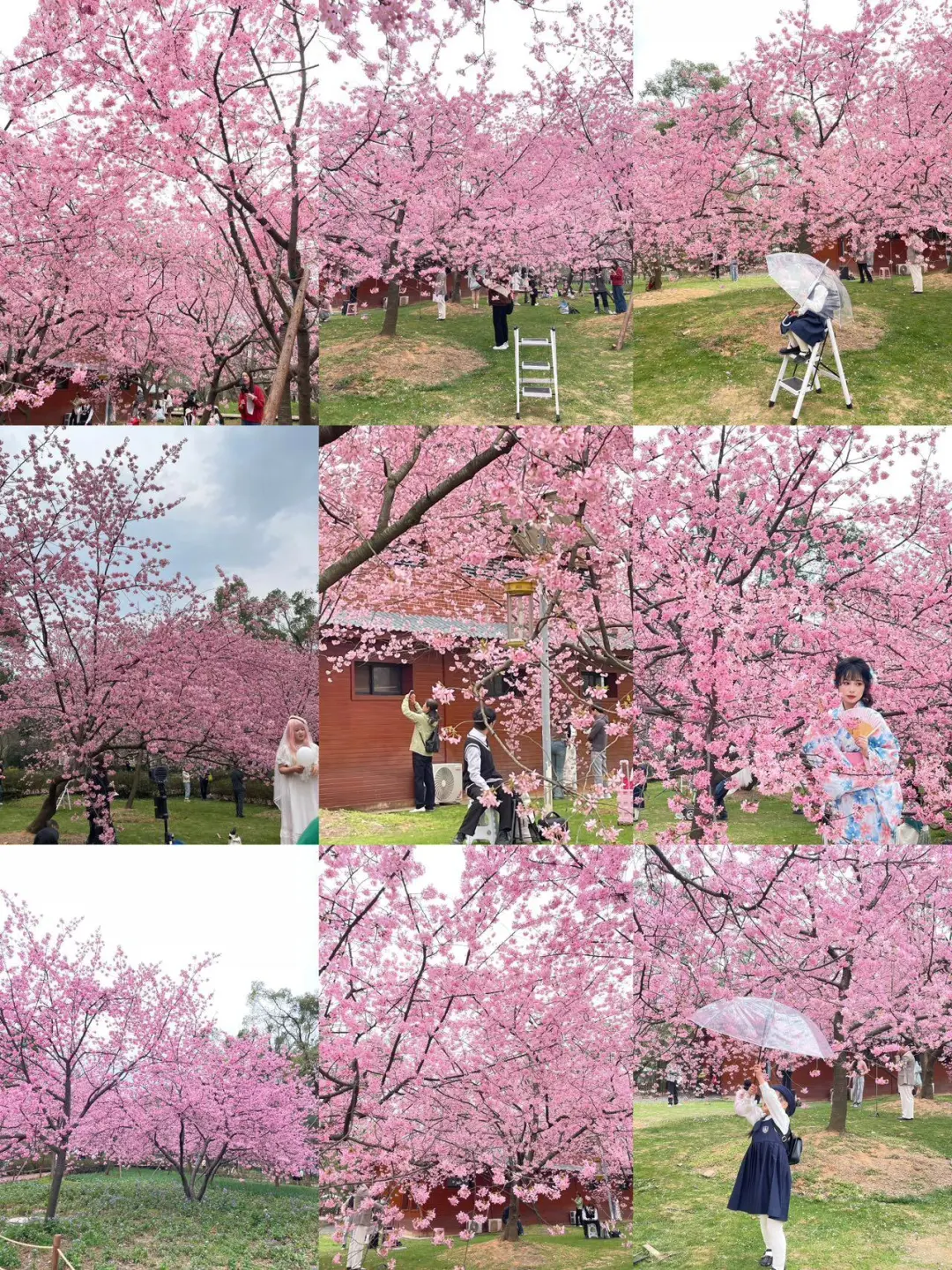 话虽然难听！但确实是武汉旅游后的真实感受…