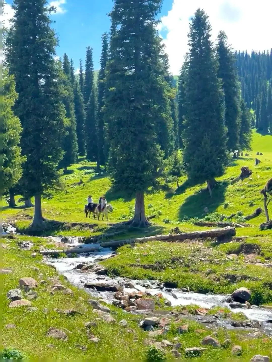 反向旅游|5月就去新疆伊犁,别等6月人挤人
