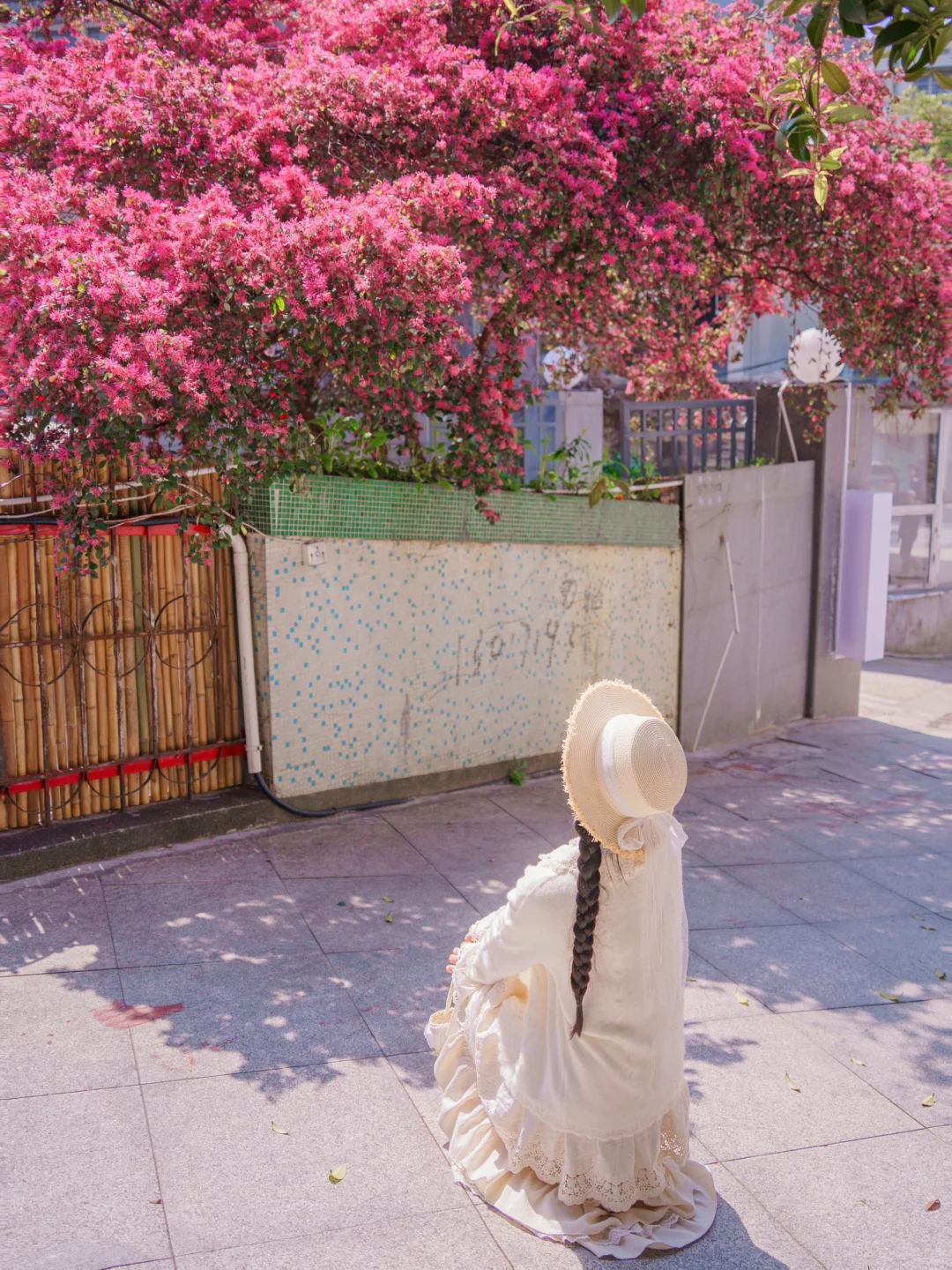 长沙小巷里藏着的春和景明