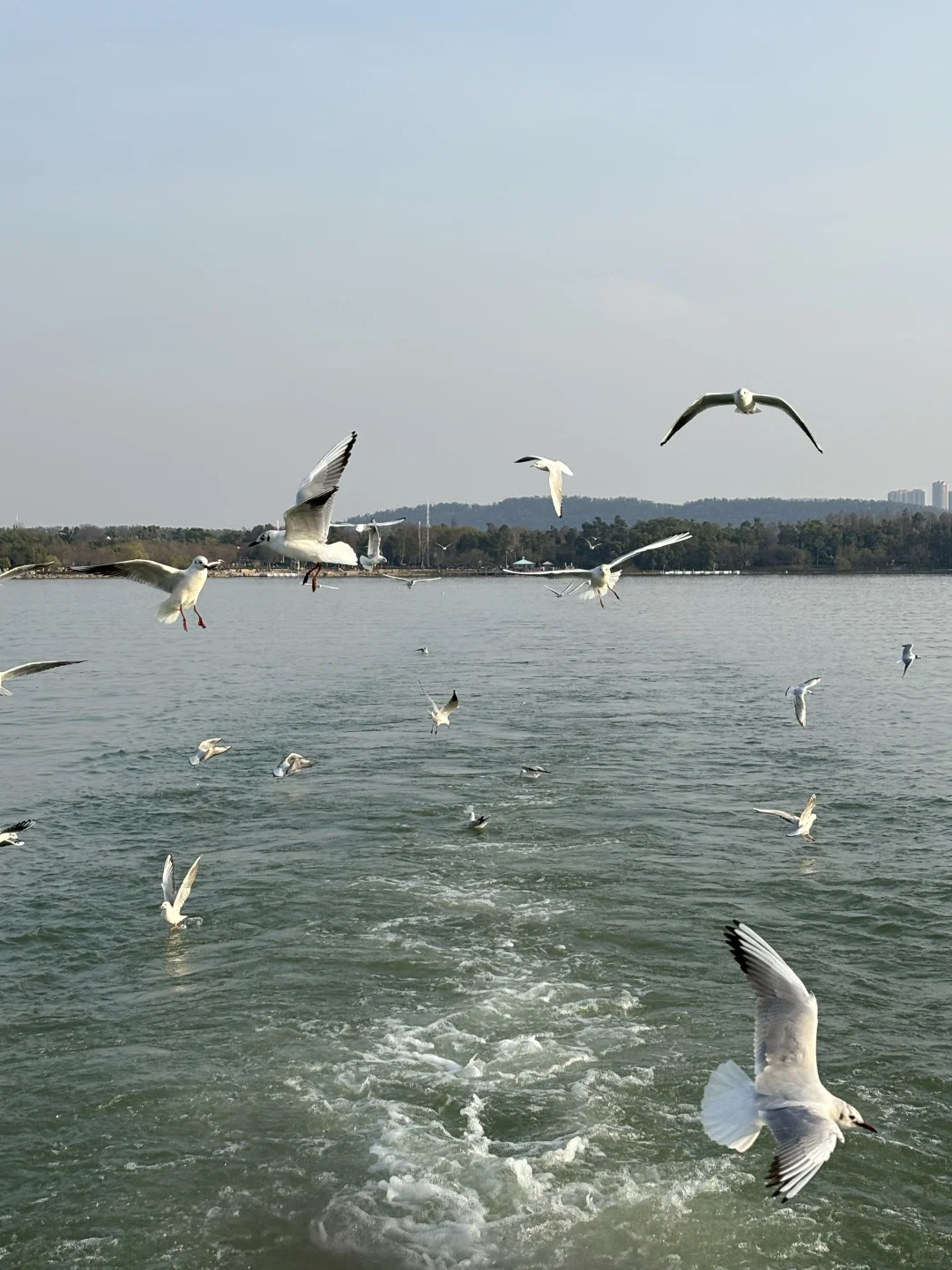 武汉三天两晚旅游攻略