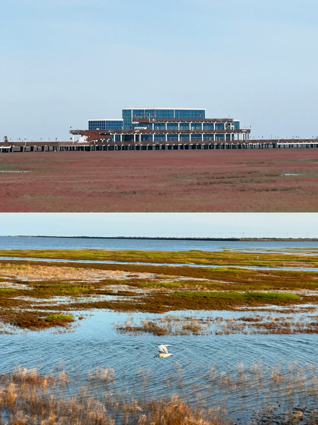 本地人推荐的兴城旅游攻略🏖️