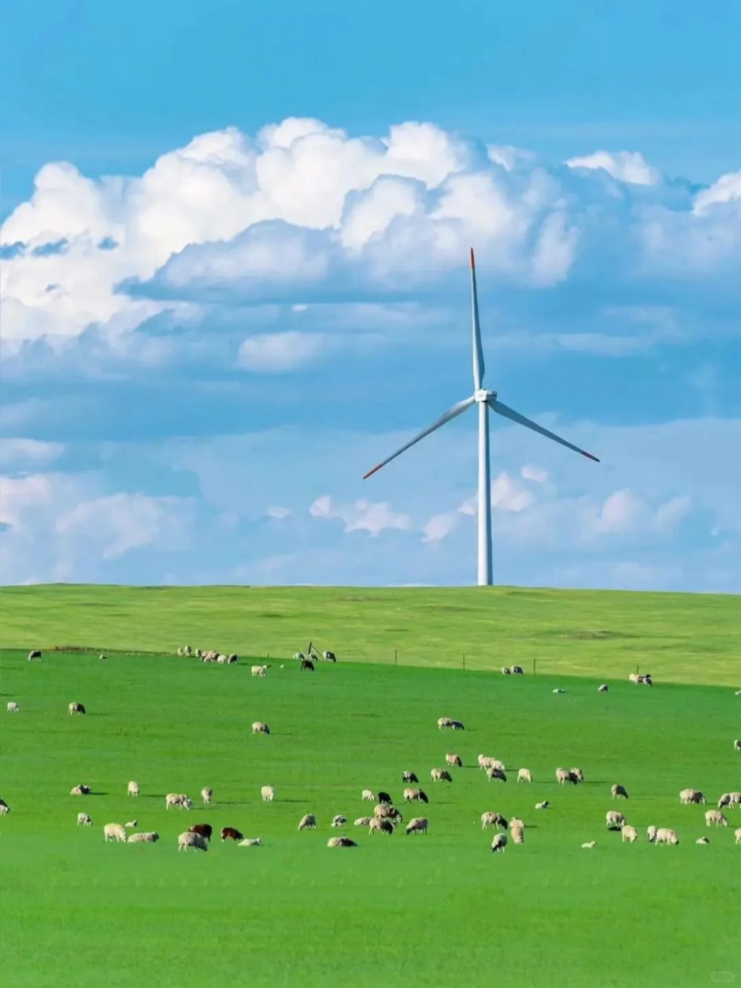 呼伦贝尔 | 六天五晚，闯入梦幻北疆画卷🌅