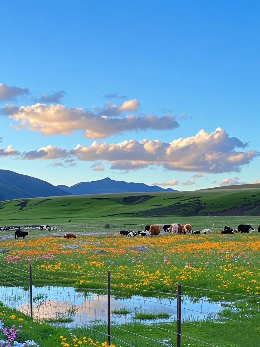 接下来的川西‼️美得让我国粹输出