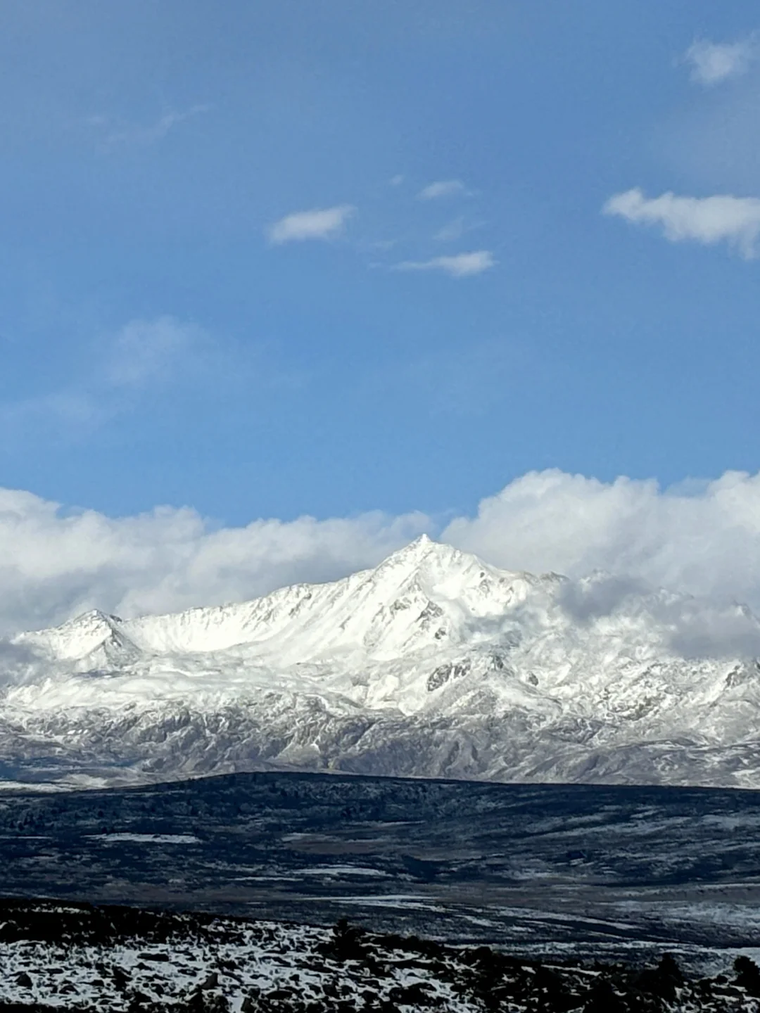 3.11 📍川西已回，live实况直出，劝退不了