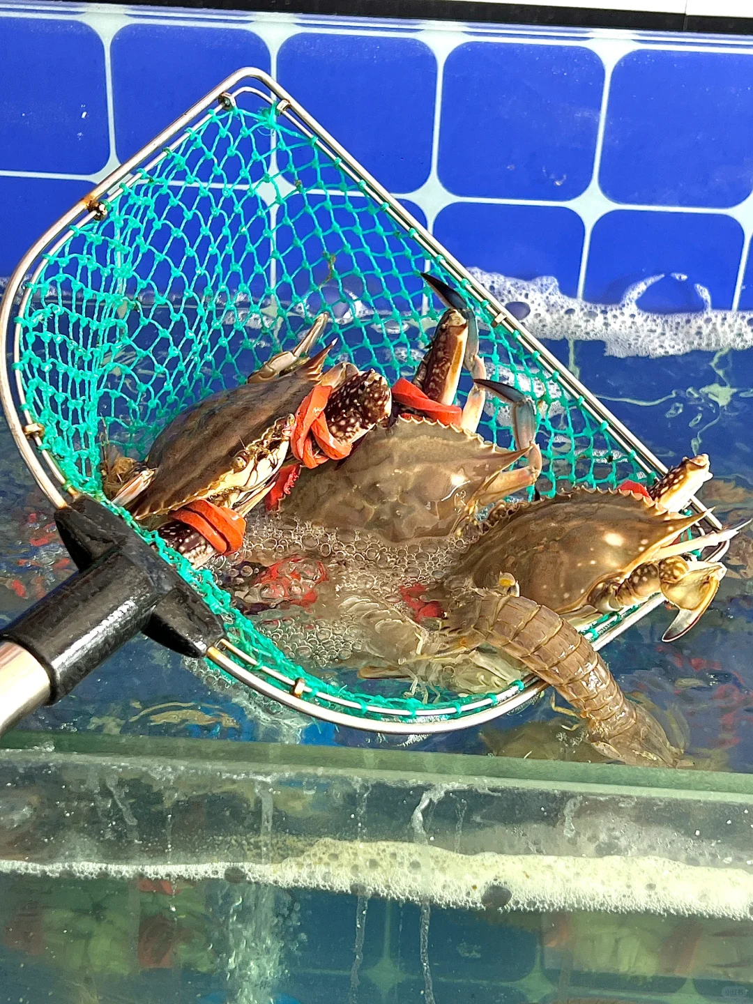 3～5🈷️来威海旅游的请注意⚠️！！！