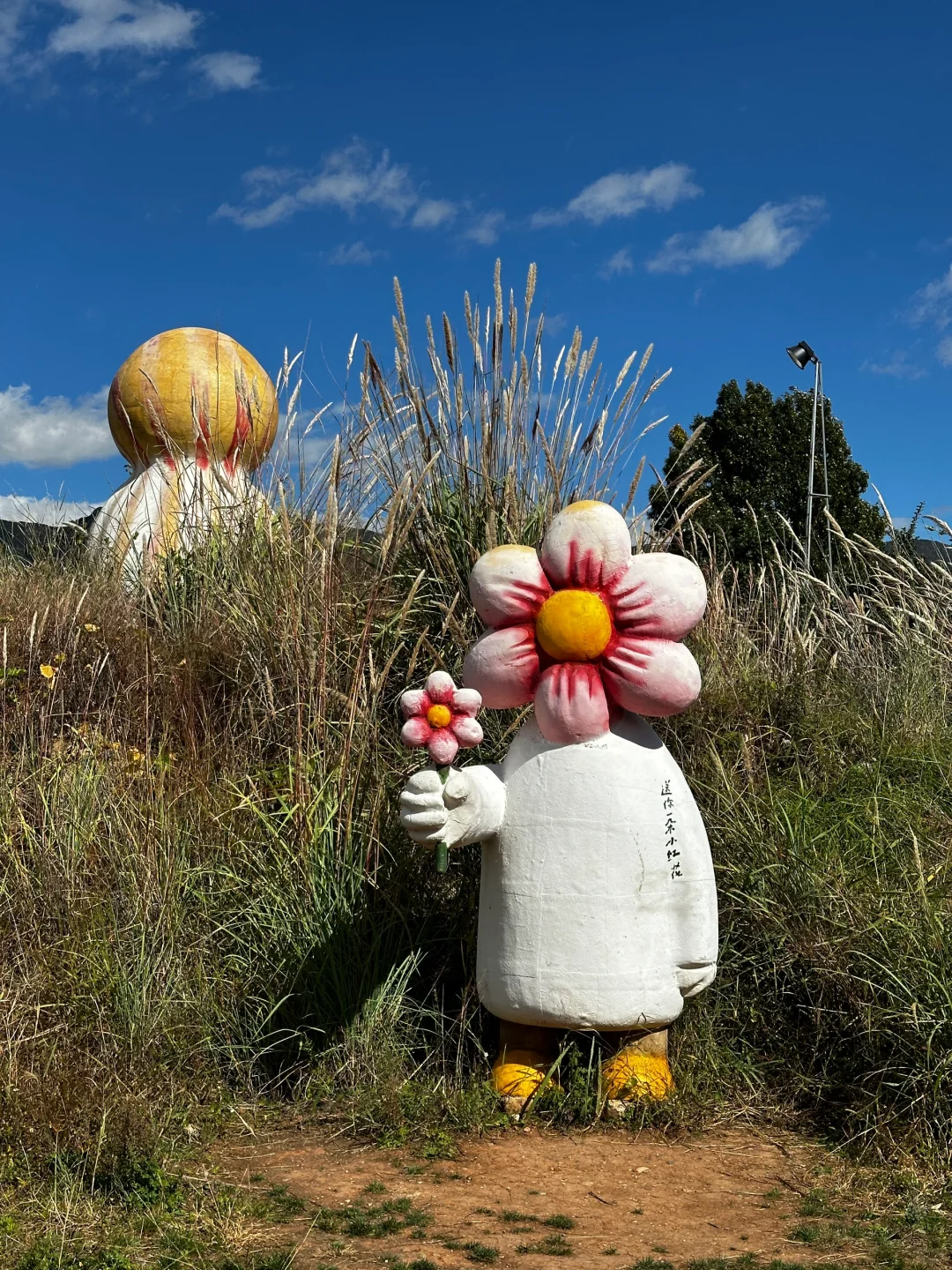 跟风小红书最成功的一次‼️现实版宫崎骏世界