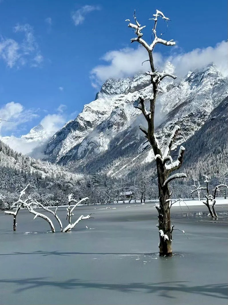 3.11 📍川西已回，live实况直出，劝退不了