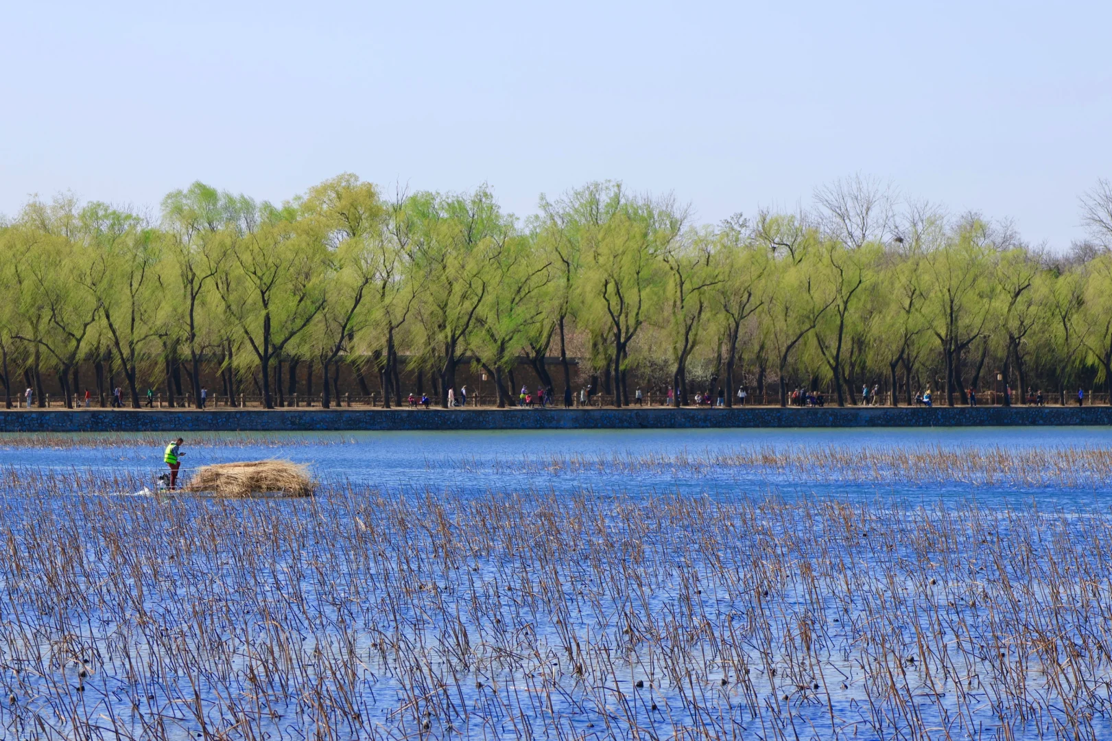 春天当然要来颐和园呀～