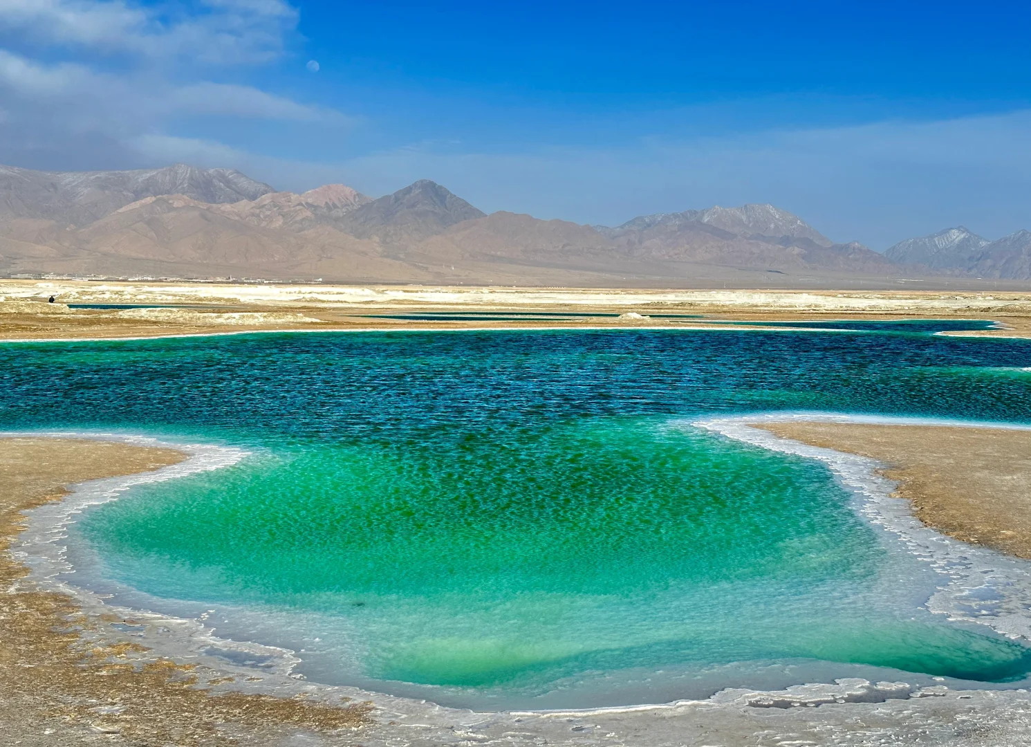 一个违背祖宗的决定