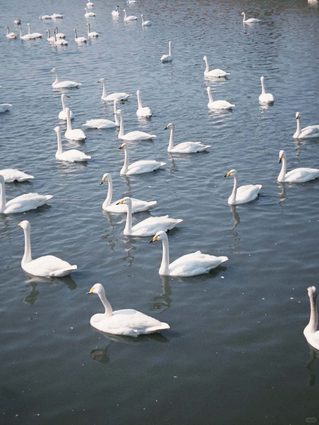 一个人旅行(威海篇)