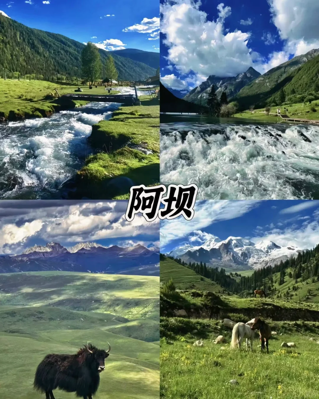 🚄高铁直达适合小住的五个小众城市🌸