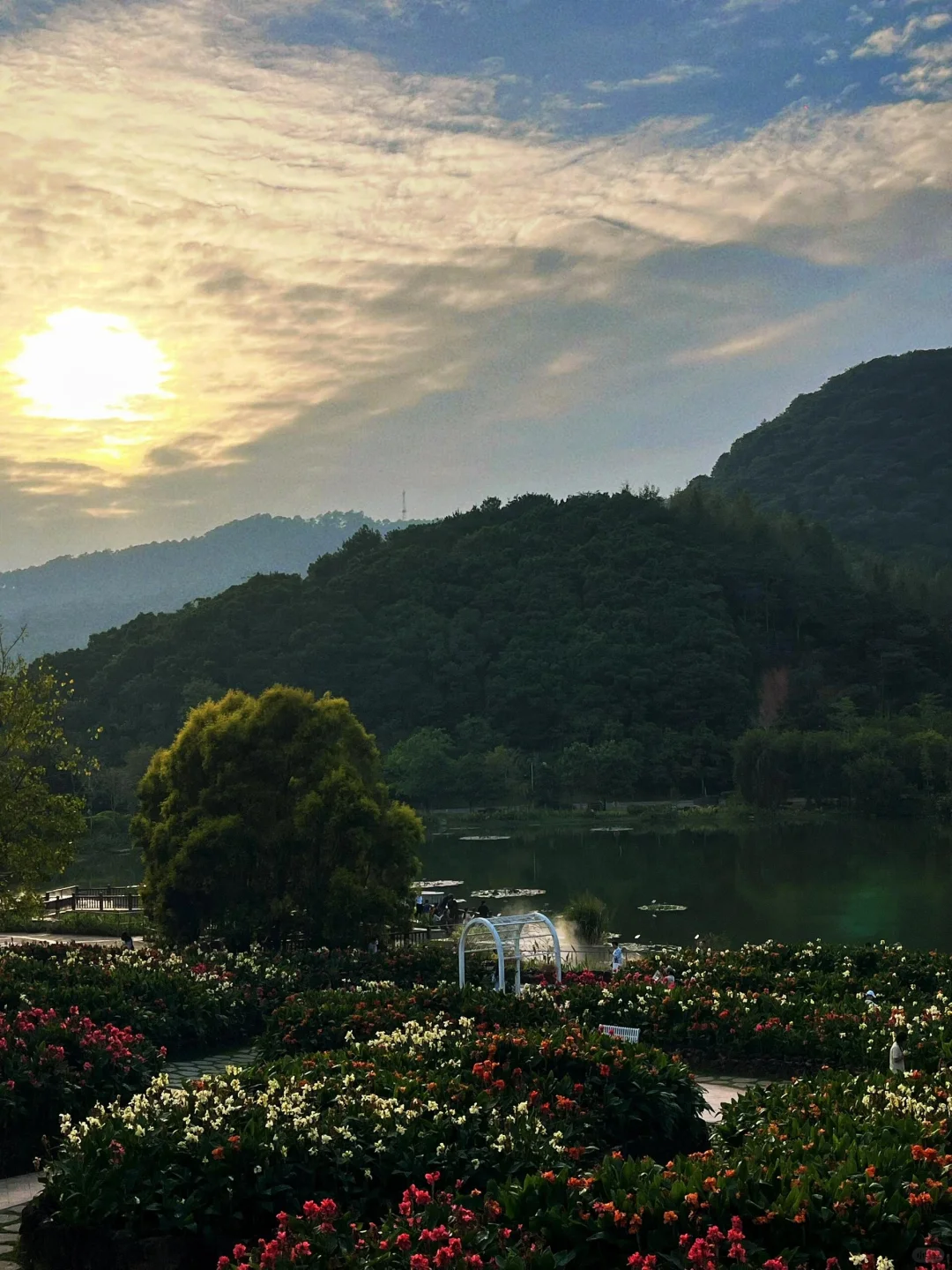 南宁青秀山，3小时 33元省力攻略推荐❗️❗️