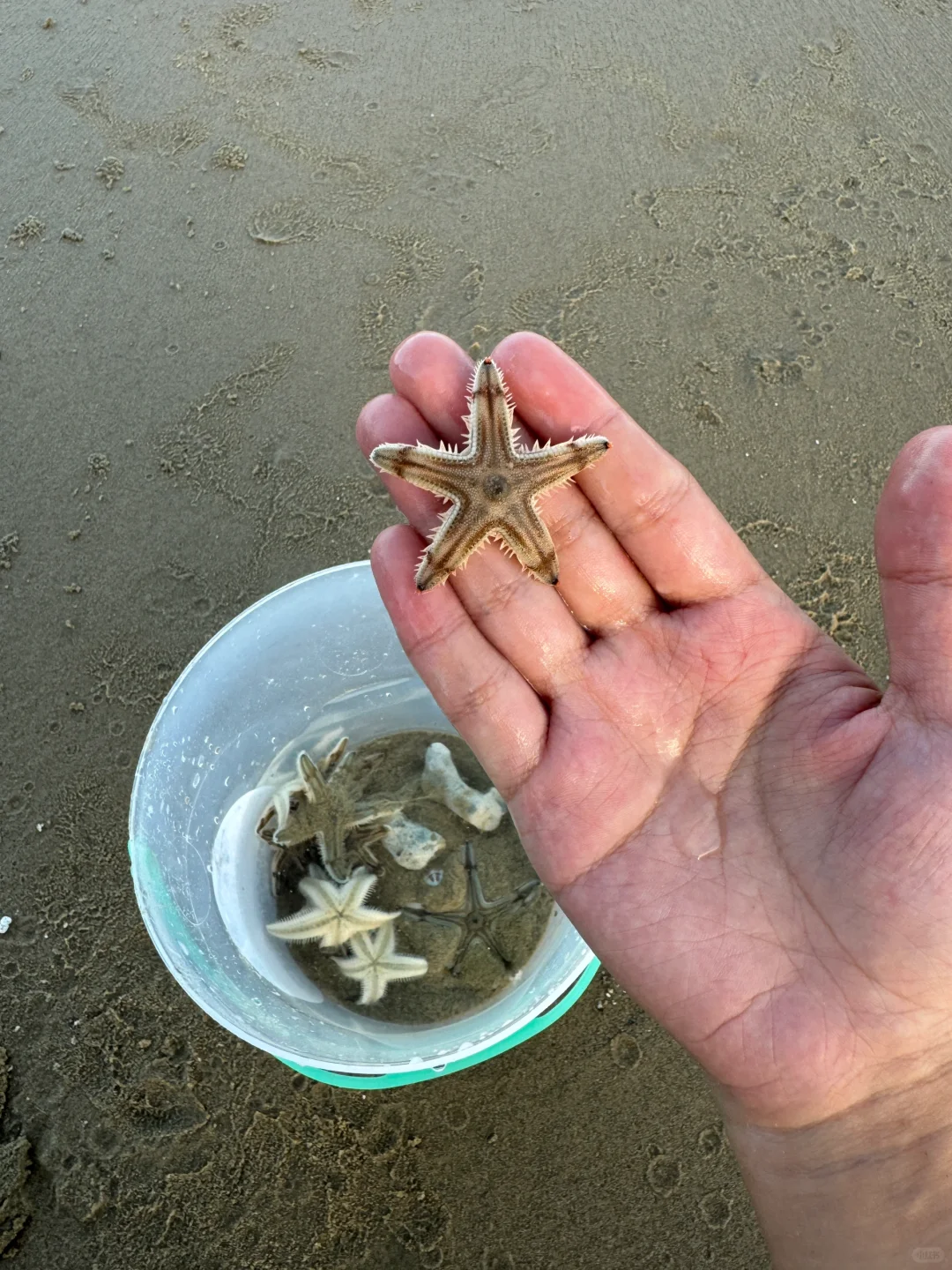 带娃陵水已回😭全是干货，我的建议是。。。