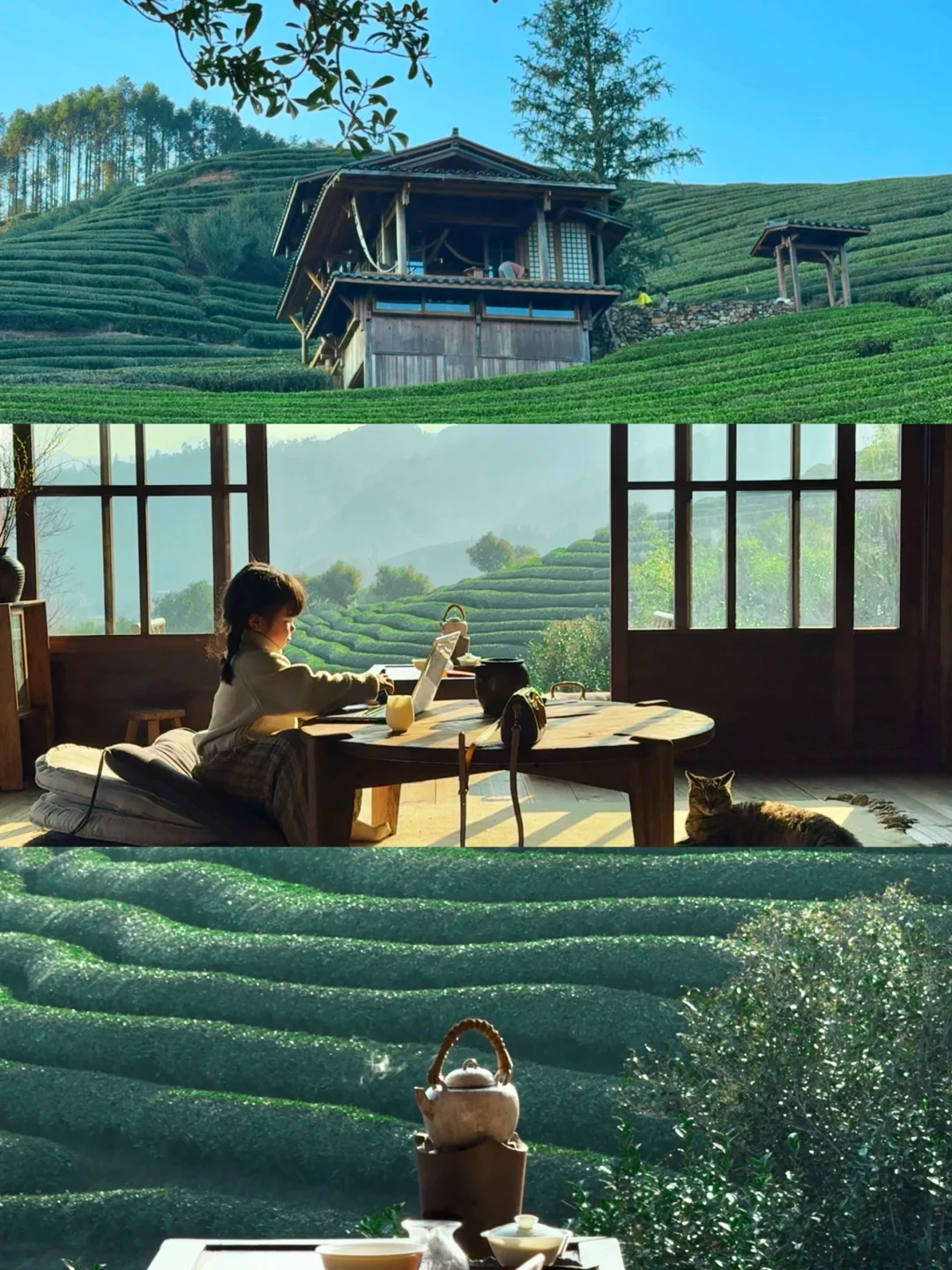 武夷山真的很好玩！！！附3天3夜攻略（松弛版