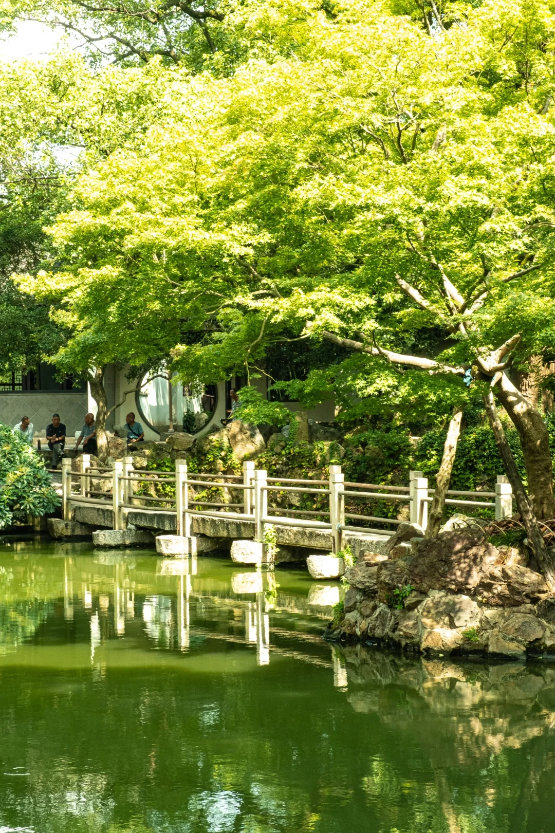 北京出发｜挑战每周出去玩（31/50）📍无锡