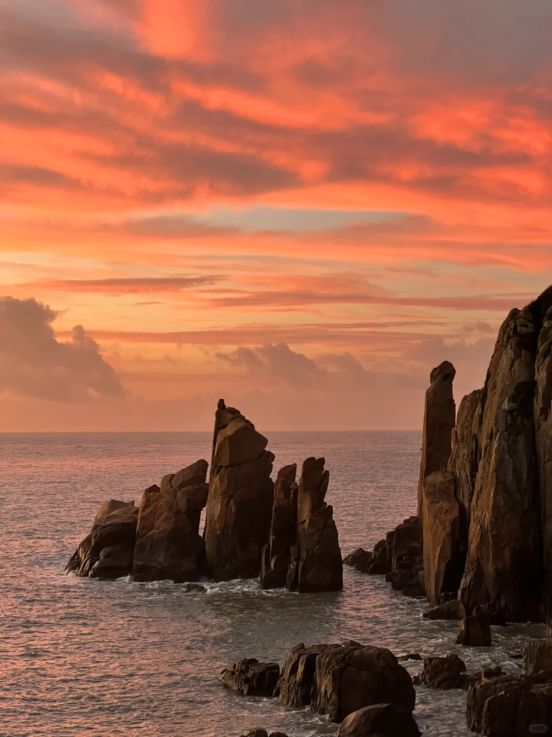 🏝️国内【新西兰】藏在浙江的小众海岛