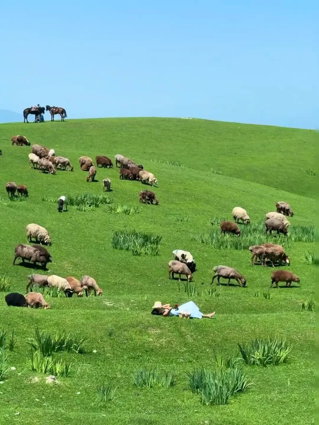 反向旅游|5月就去新疆伊犁,别等6月人挤人