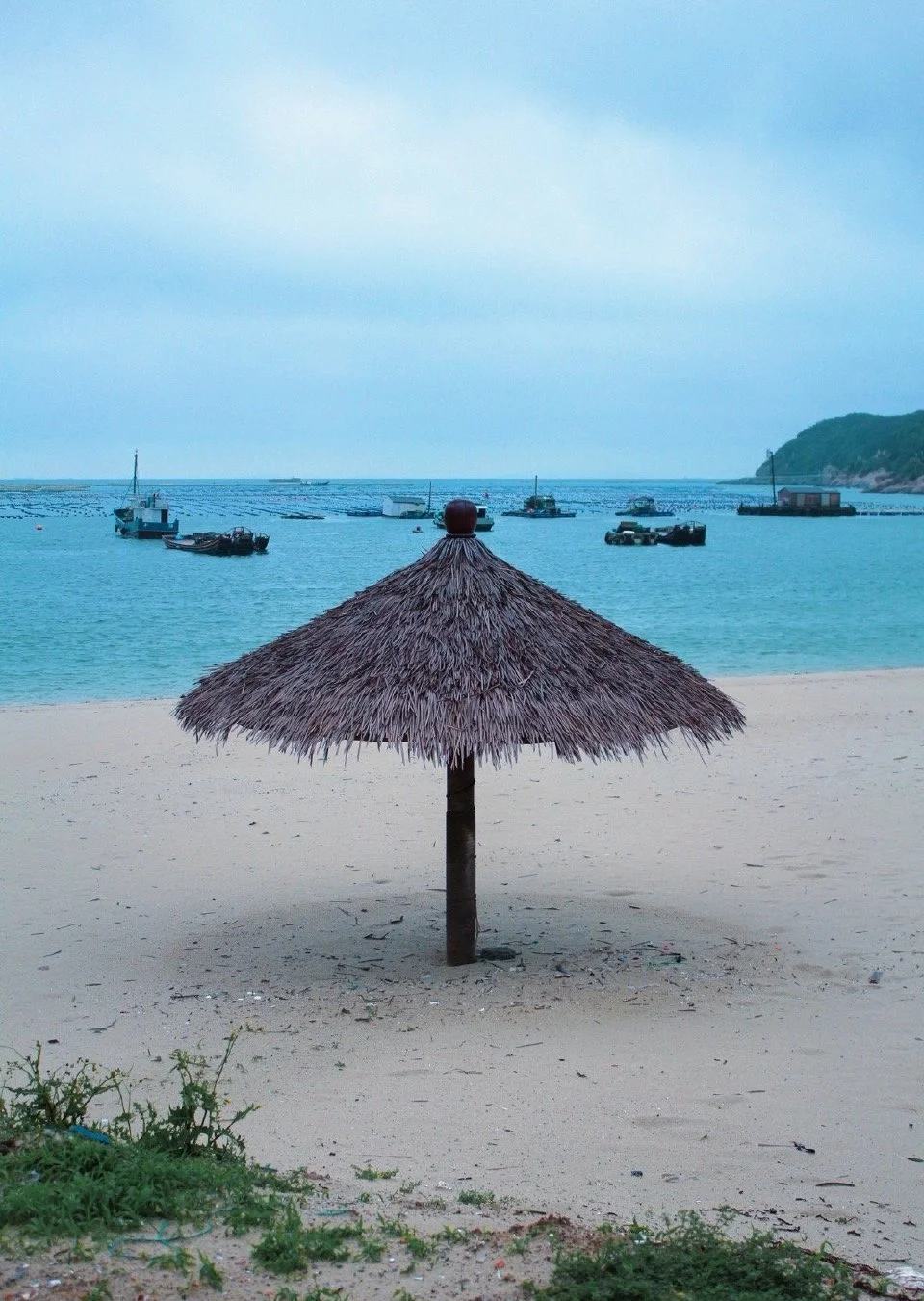 🏝️国内【新西兰】藏在浙江的小众海岛