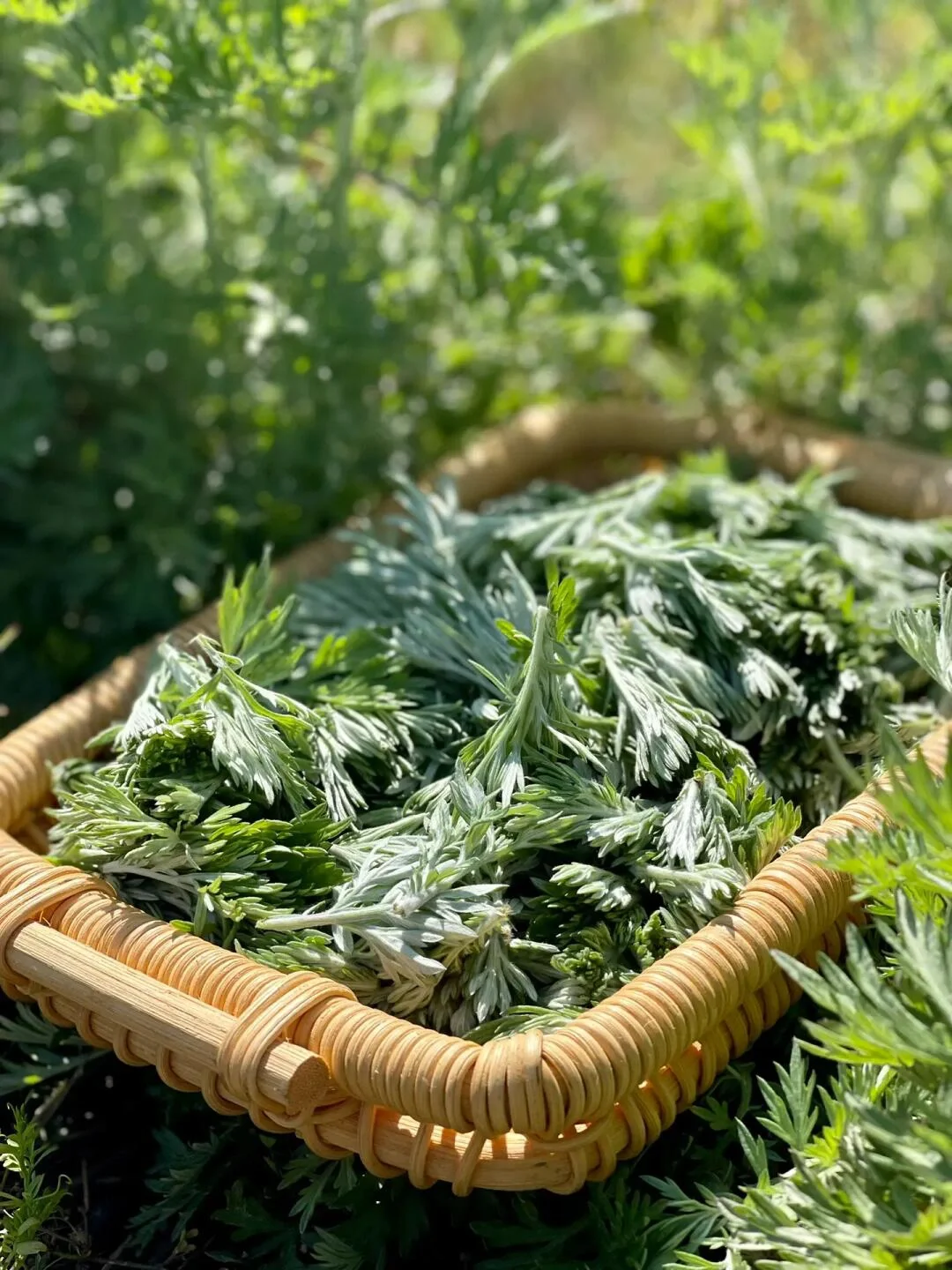 我真的很少用“震撼”来形容一个地方‼黄山