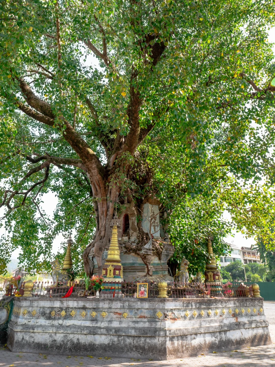迄今为止,我最喜欢的小众城市出现了!!