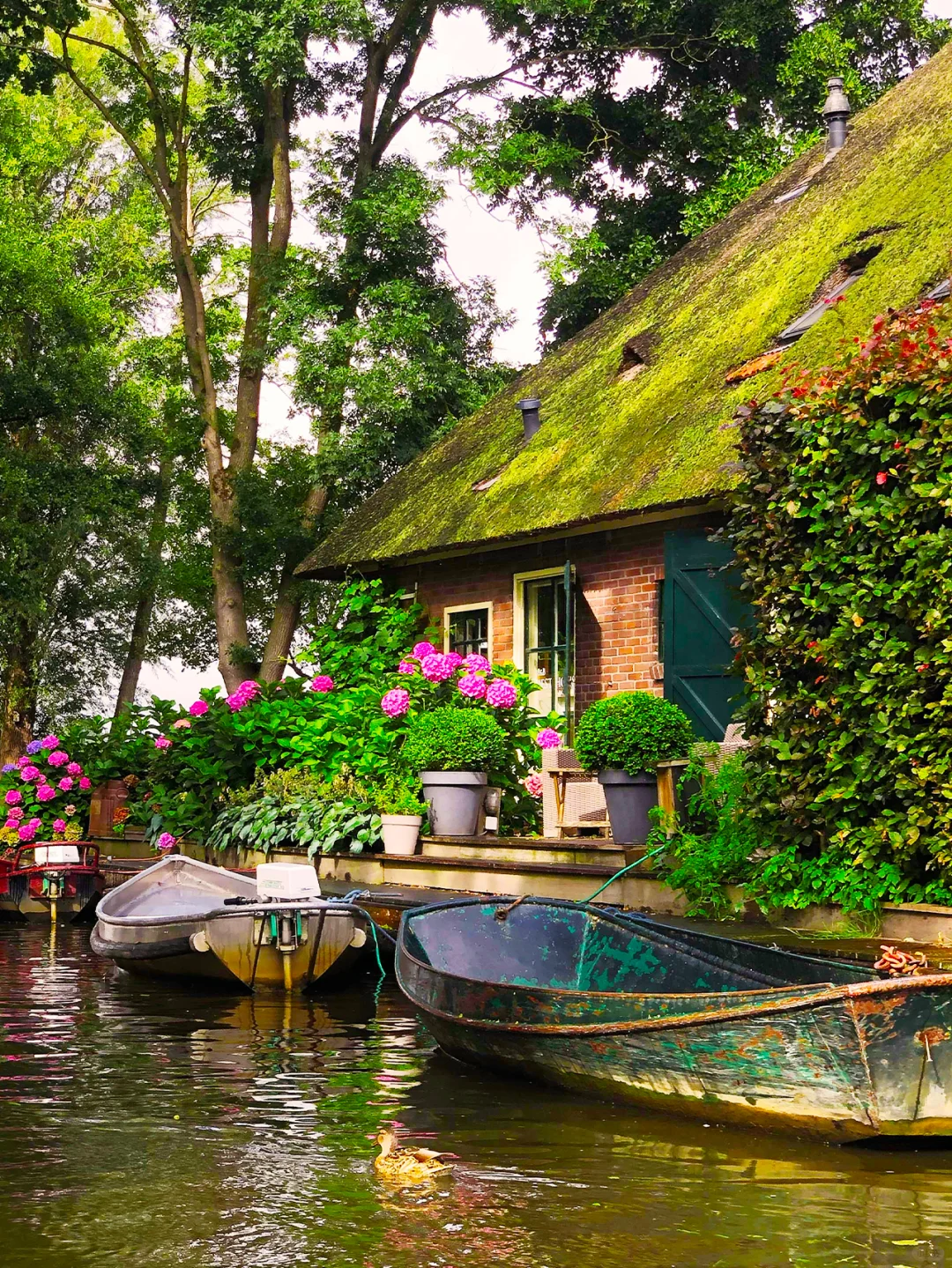 拜托😭大家去荷兰旅游千万别无脑冲啊