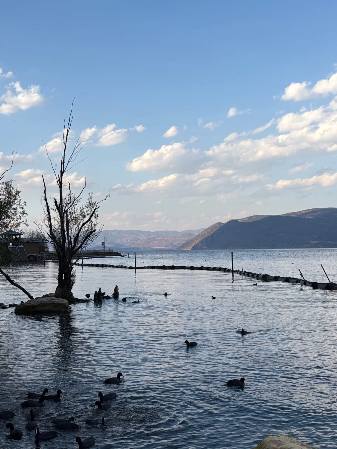 和老公去云南要不要抱团，我来跟你说说……