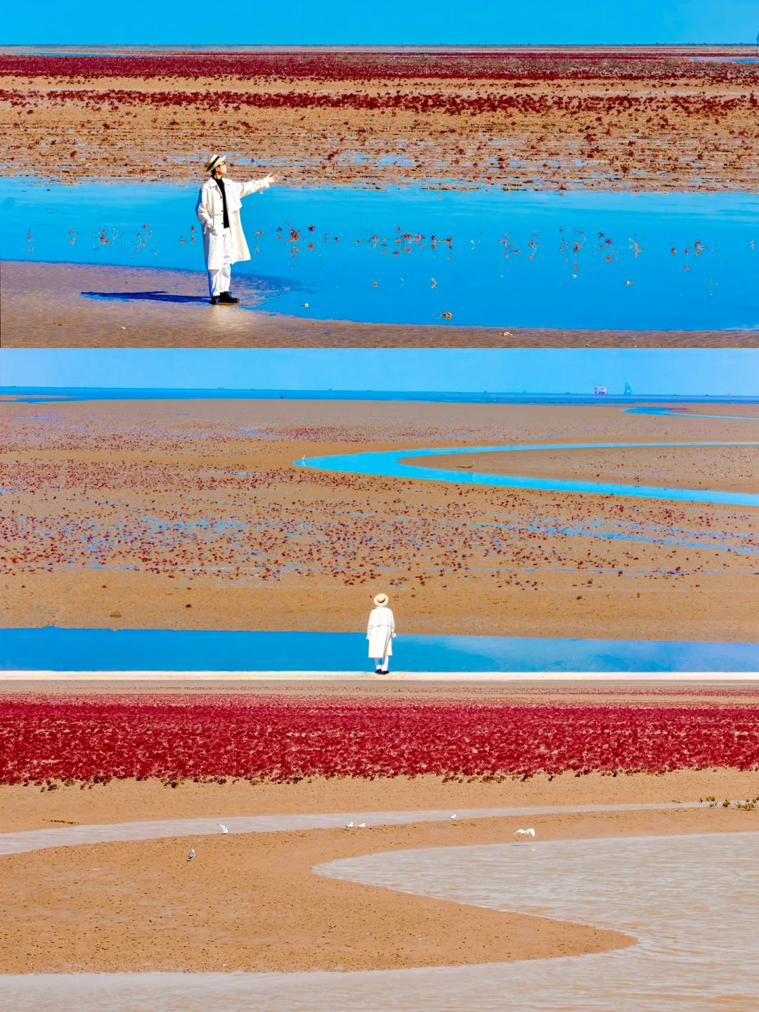 山东被严重低估的海边小城，我好怕它火啊😭