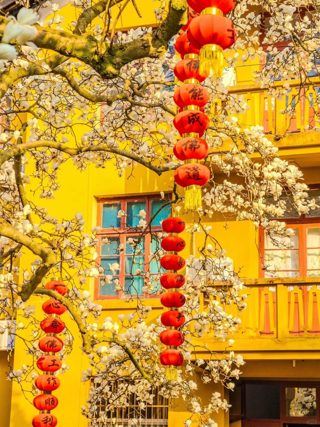 🌟杭州3日保姆级攻略！