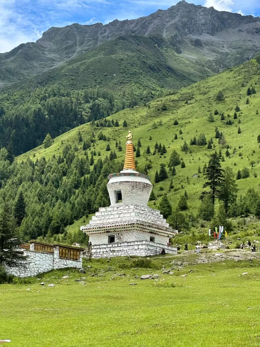 夏季的四姑娘山❗️才是川西真正的顶流😭