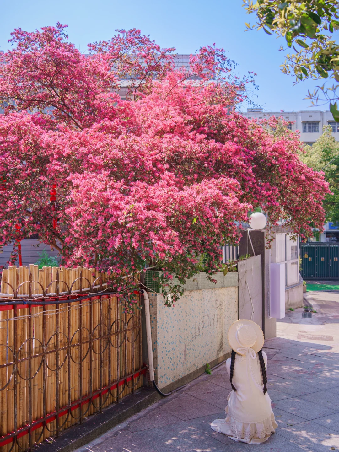 长沙小巷里藏着的春和景明