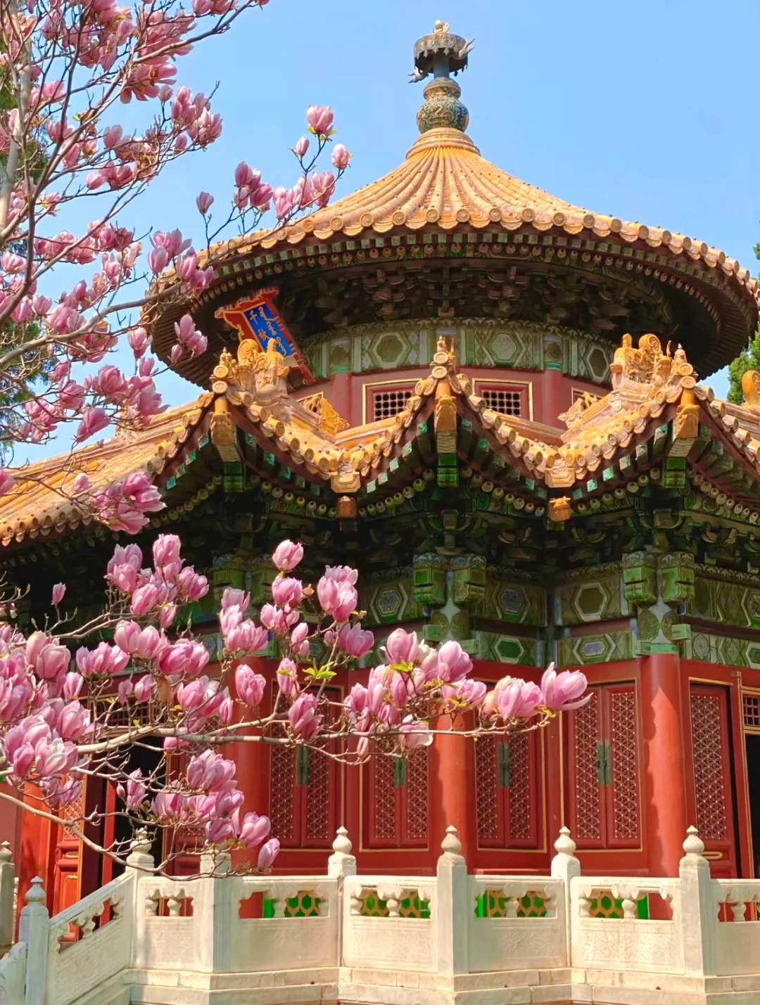 京城春日赏花地图🌸 附保姆级拍照攻略