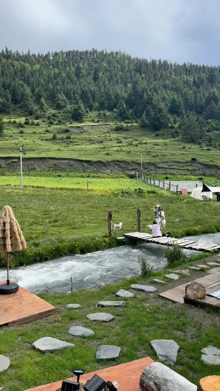 3.22📍鱼子西live实况，2天小团人均200+