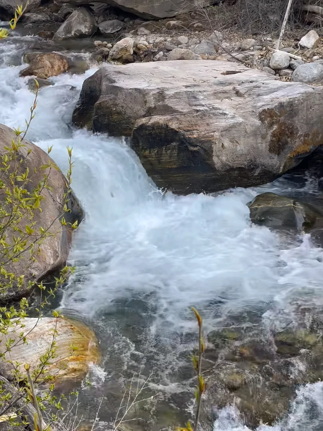 🏔3月林芝|桃花雪山下的春日仙境🌸