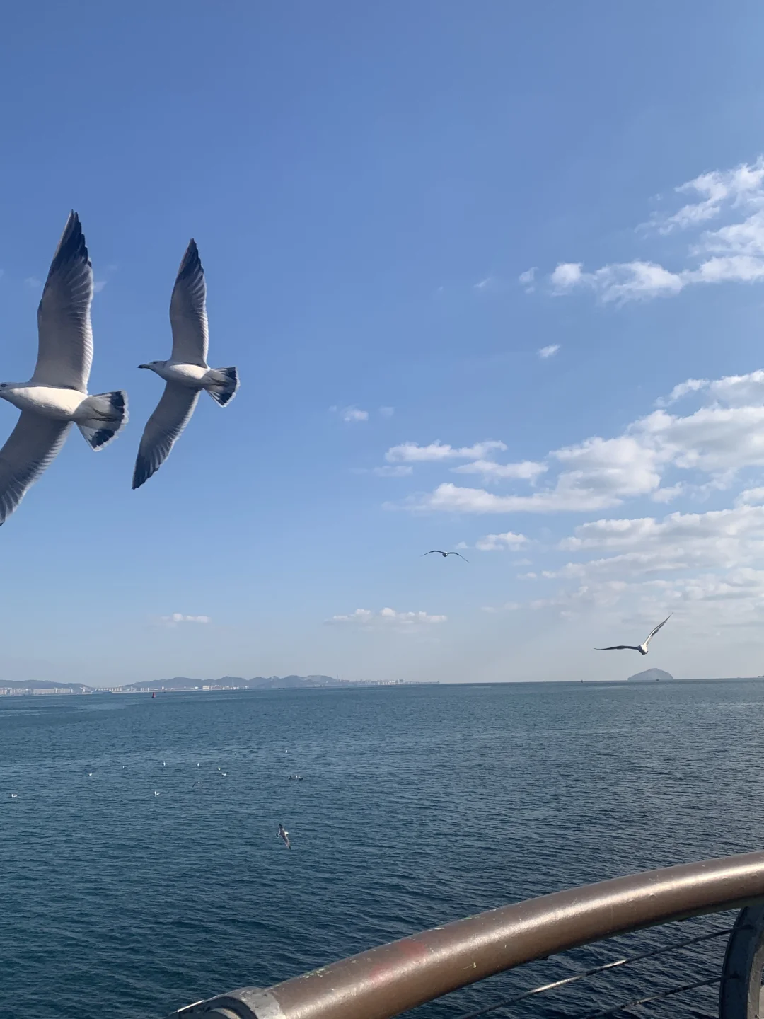 大连｜大方无隅，海色连天