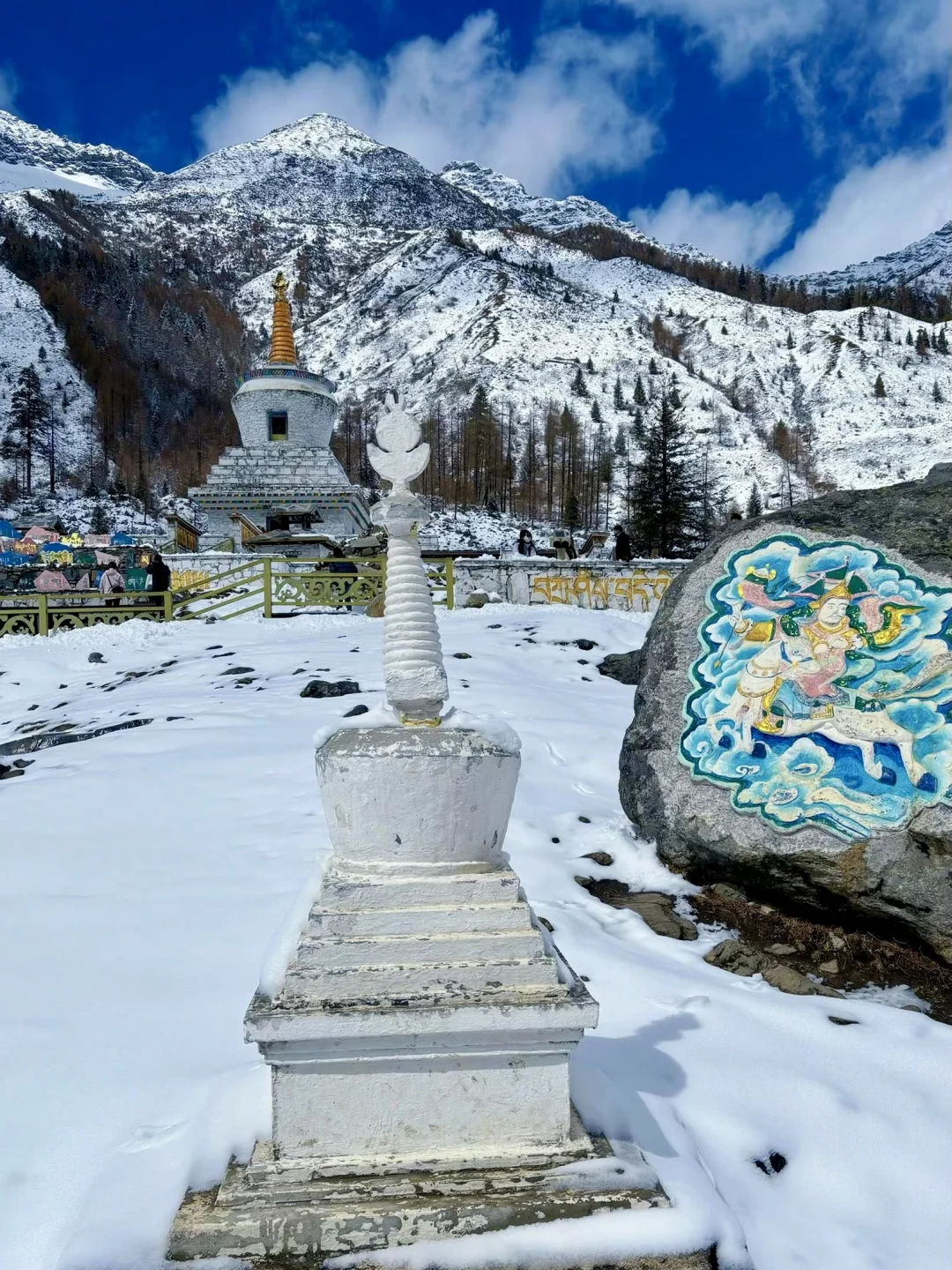 3.11 📍川西已回，live实况直出，劝退不了