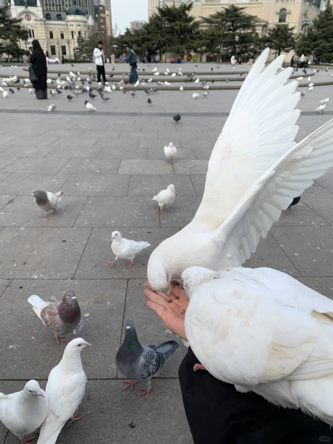 大连｜大方无隅，海色连天
